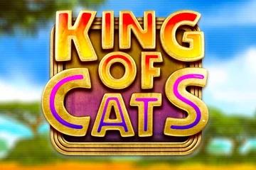 King of Cats - Big Time Gaming Slot