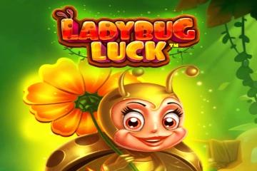 Ladybug Luck - Pragmatic Play Slot