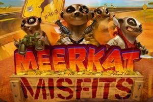 Meerkat Misfits - RealTime Gaming Slot