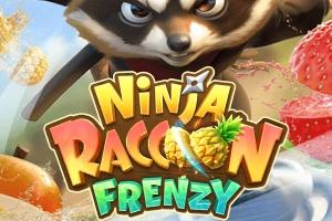 Ninja Raccoon Frenzy - PG Soft Slot