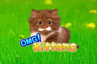OMG! Kittens - Light & Wonder Slot