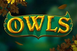 Owls - Nolimit City Slot