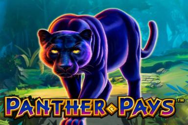 Panther Pays - Playtech Slot