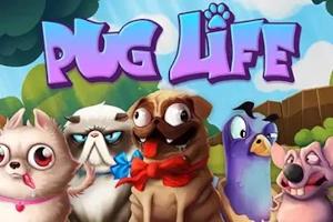 Pug Life - Hacksaw Gaming Slot