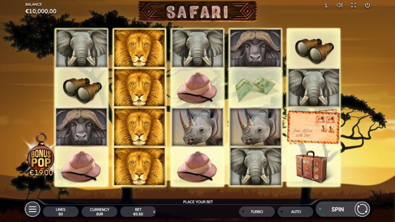 Safari