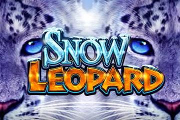Snow Leopard - Light & Wonder Slot