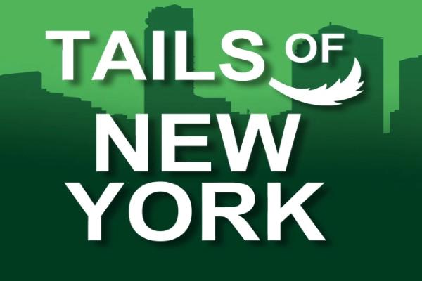Tails Of New York - Genii Slot