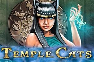 Temple Cats - Endorphina Slot