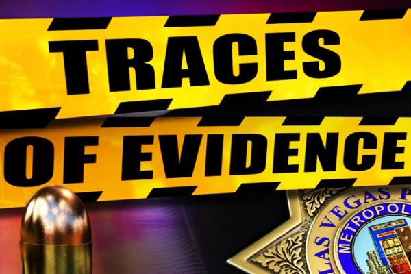 Traces Of Evidence - Genii Slot