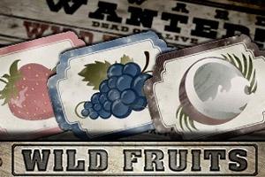 Wild Fruits - Endorphina Slot