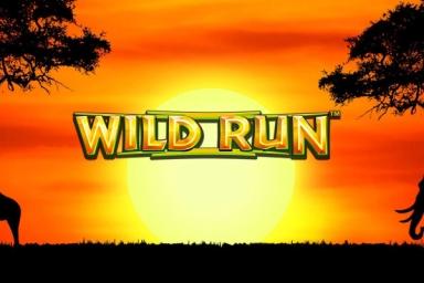 Wild Run - Light & Wonder Slot