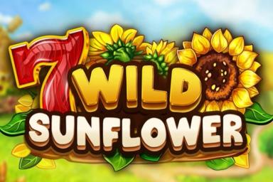 Wild Sunflower - Fazi Slot