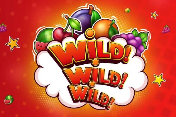 Wild! Wild! WILD! - Riddec Games Slot