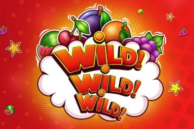 Wild! Wild! WILD! - Riddec Games Slot