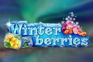 Winterberries - Yggdrasil Gaming Slot