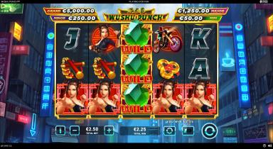 Wushu Punch - Playtech Slot